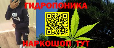индика Туймазы