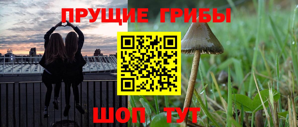 Псилоцибиновые грибы GOLDEN TEACHER  Вход с VPN  Мценск 